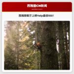 西雅图两家餐厅荣登 Yelp 2026 年美国最佳餐厅榜单