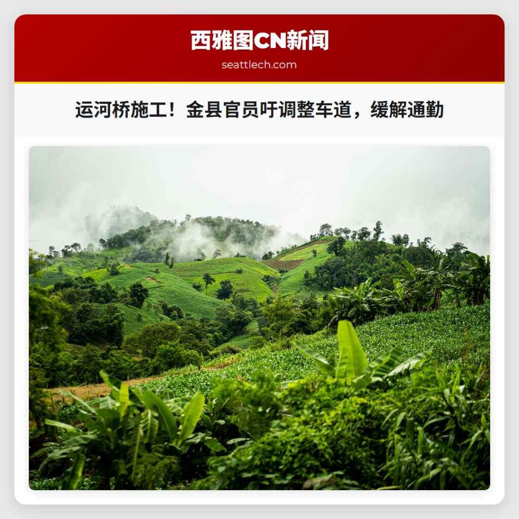 运河桥施工！金县官员吁调整车道，缓解通勤