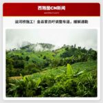 金县官员呼吁调整运河桥施工期间快速车道通行策略，缓解通勤压力