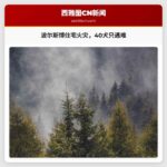 波尔斯博住宅凌晨突发火灾，约40只犬只遇难