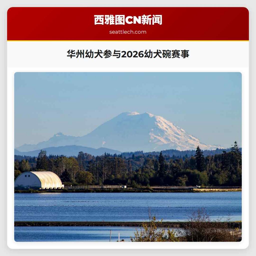 华州幼犬参与2026幼犬碗赛事