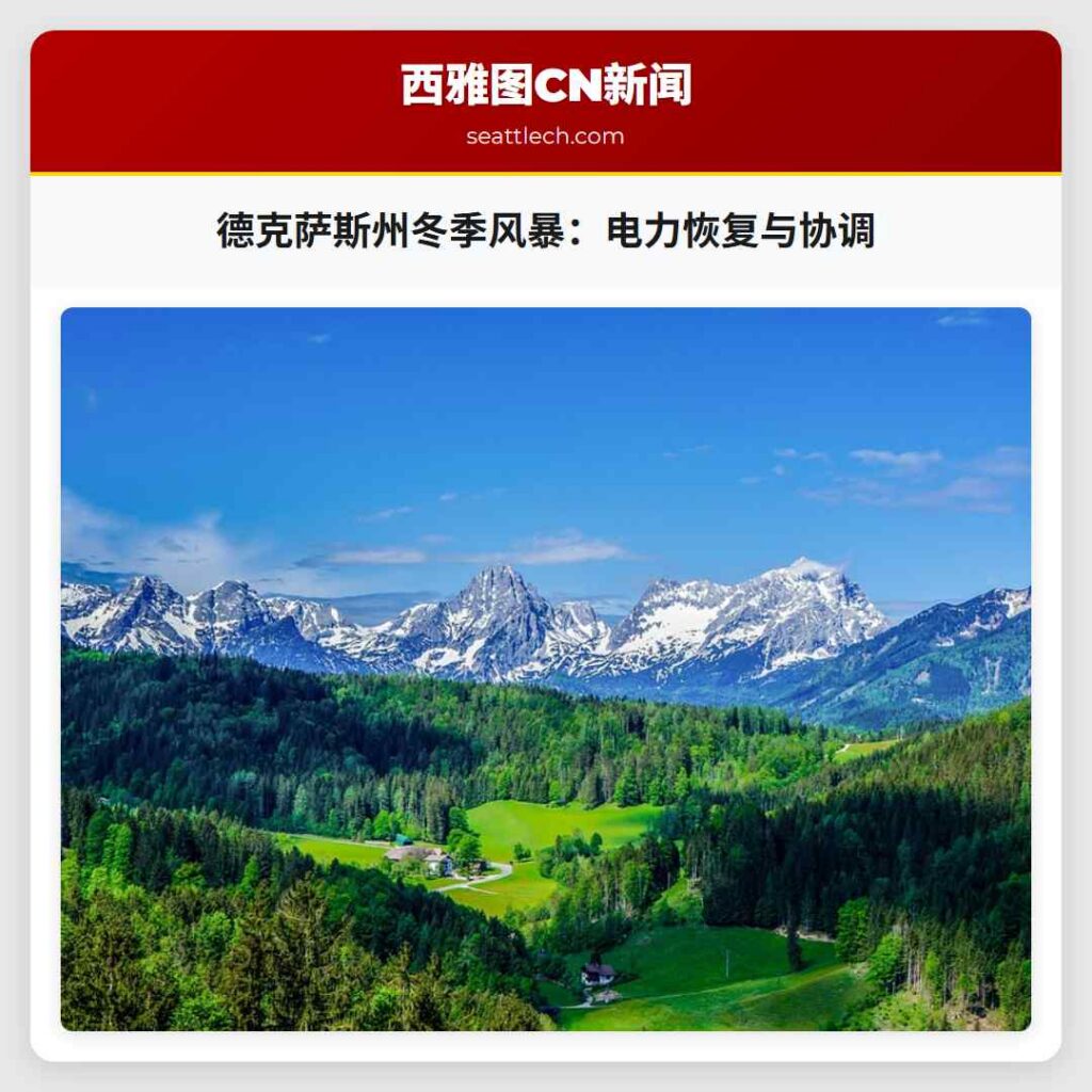 德克萨斯州冬季风暴：电力恢复与协调