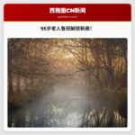 95岁老人刷新鲁比克方块纪录，成为最年长解谜者