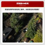 默瑟岛与伊萨夸发生人员死亡事件，与特殊需求男子护理纠纷相关