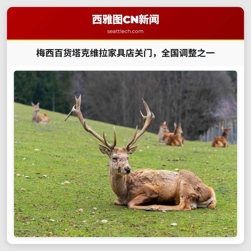 梅西百货塔克维拉家具店关门，全国调整之一