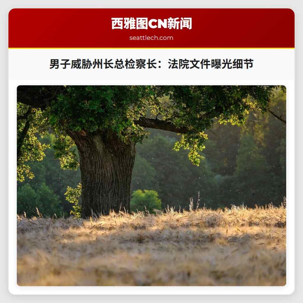 男子威胁州长总检察长：法院文件曝光细节