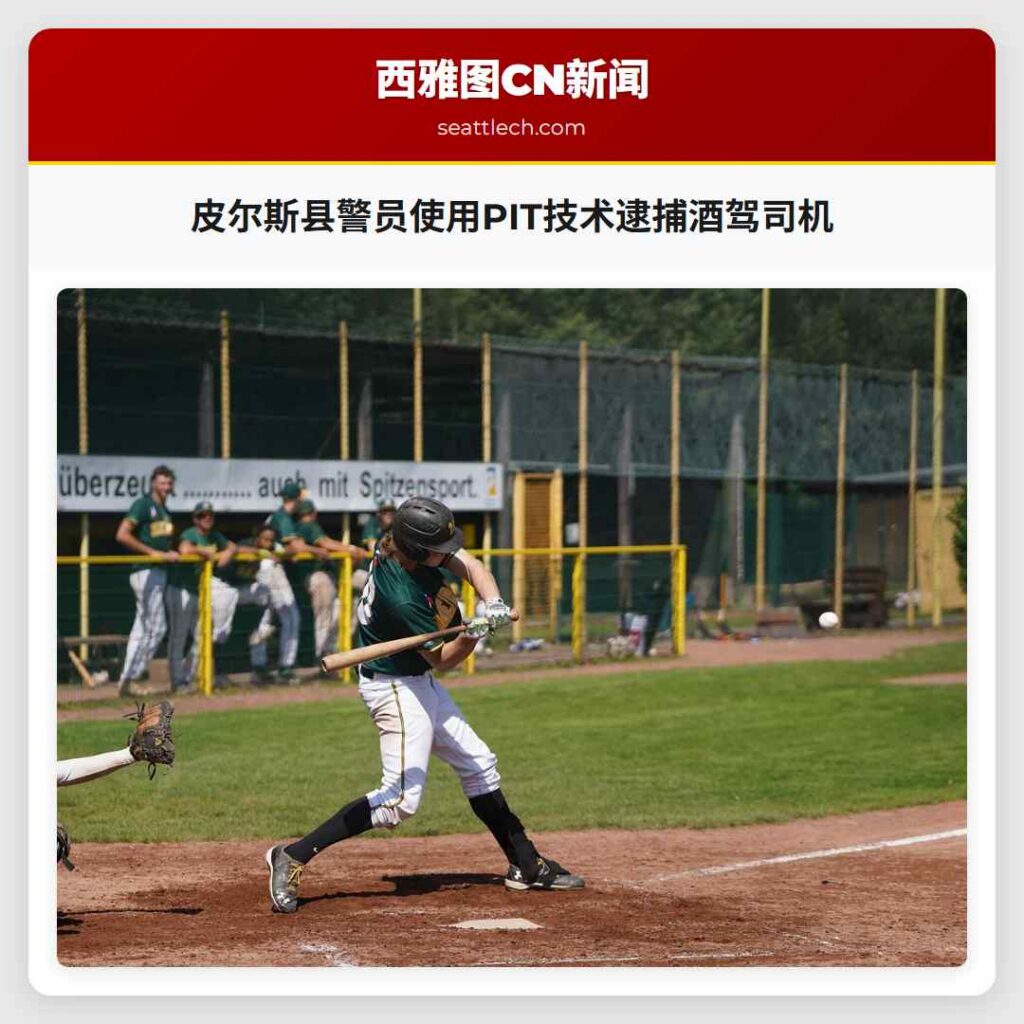 皮尔斯县警员使用PIT技术逮捕酒驾司机
