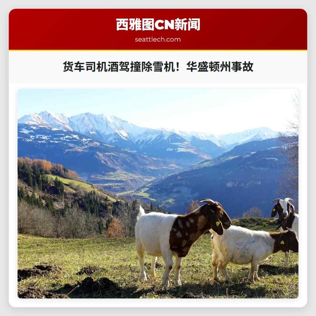 货车司机酒驾撞除雪机！华盛顿州事故