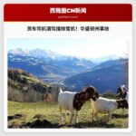 货车司机酒驾撞除雪机，华盛顿州基塔蒂斯发生事故