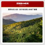 男子非法闯入木材厂被捕，累积15次入狱记录