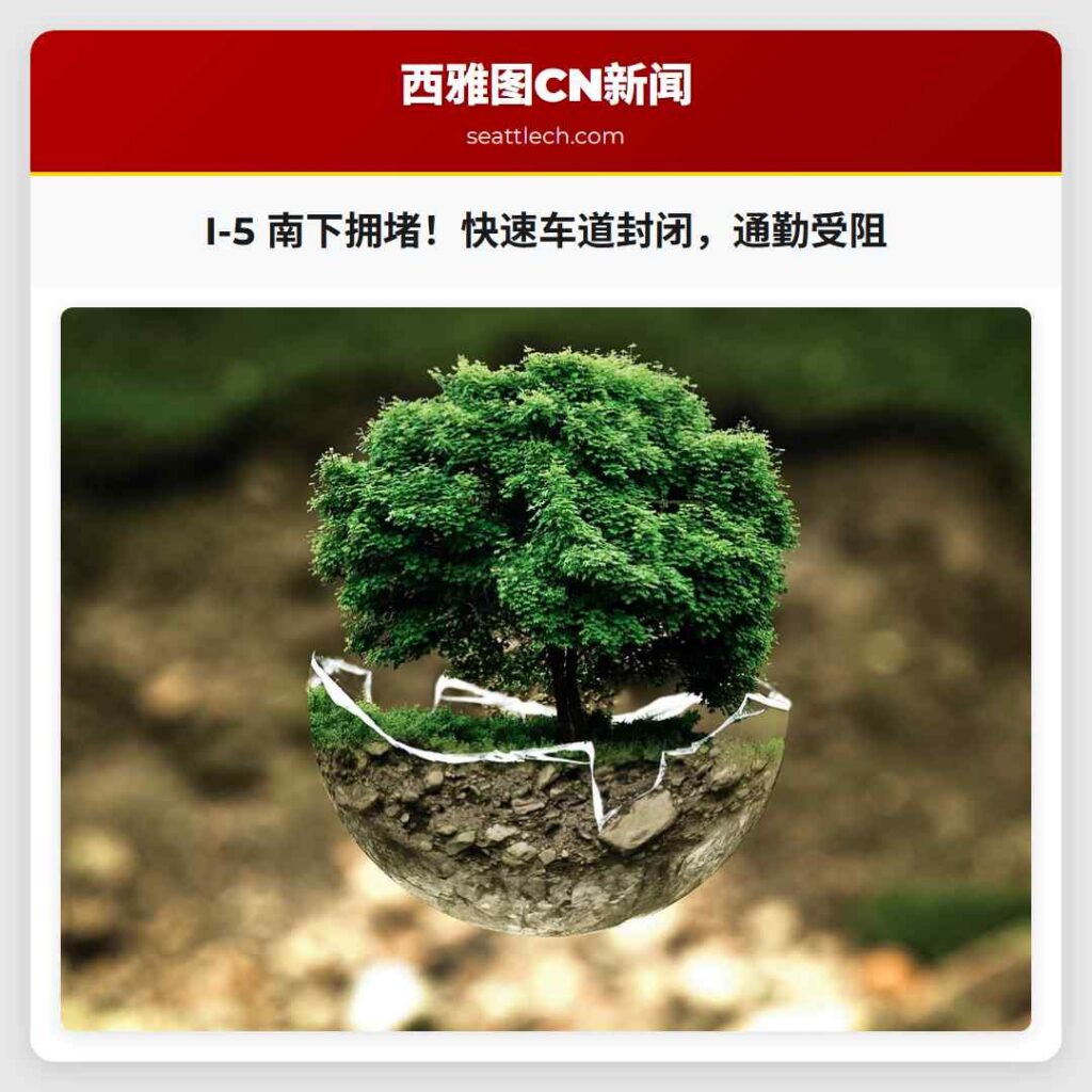 I-5 南下拥堵！快速车道封闭，通勤受阻