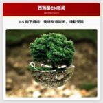 南下 I-5 快速车道封闭引发严重早高峰拥堵