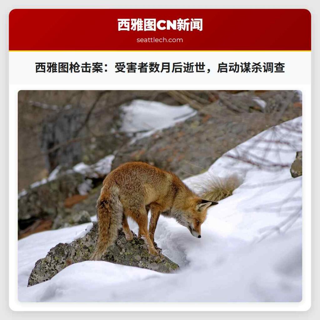 西雅图枪击案：受害者数月后逝世，启动谋杀调查