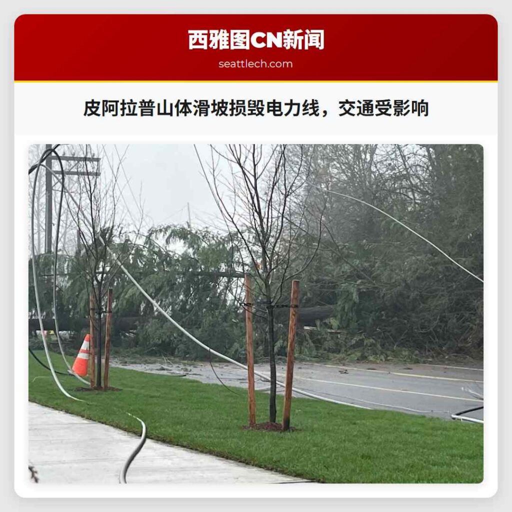 皮阿拉普山体滑坡损毁电力线，交通受影响