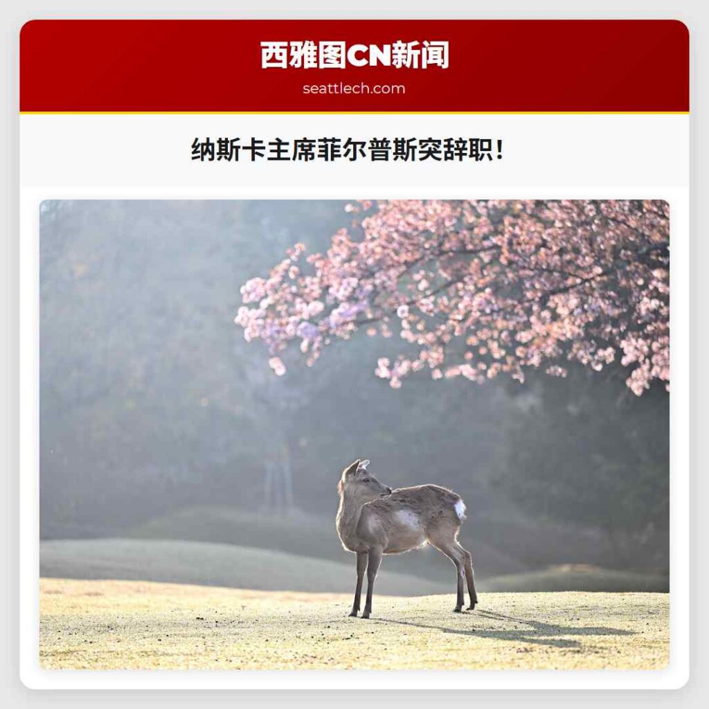 纳斯卡主席菲尔普斯突辞职！