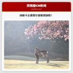 纳斯卡主席史蒂夫·菲尔普斯宣布辞职