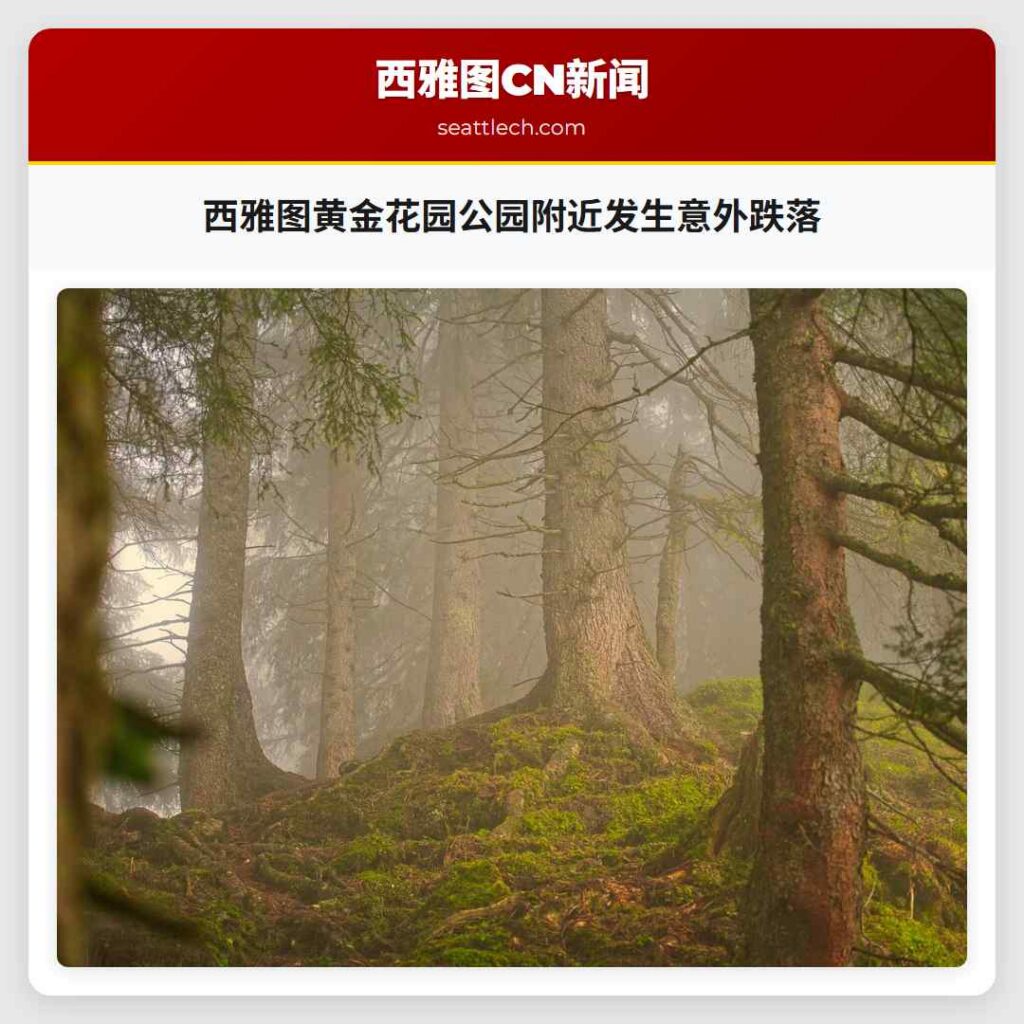 西雅图黄金花园公园附近发生意外跌落