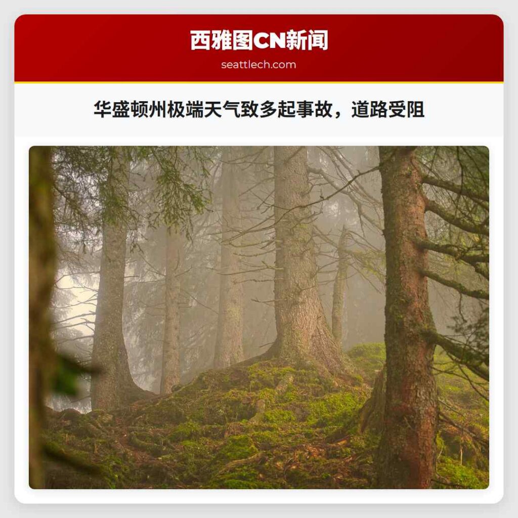 华盛顿州极端天气致多起事故，道路受阻