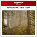 极端天气引发多起事故，华盛顿州多条道路交通受阻