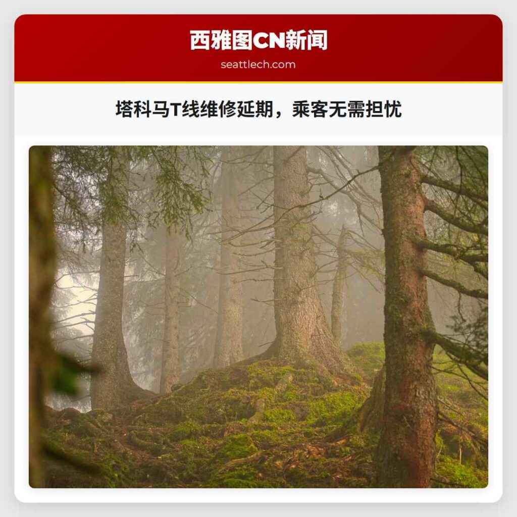 塔科马T线维修延期，乘客无需担忧