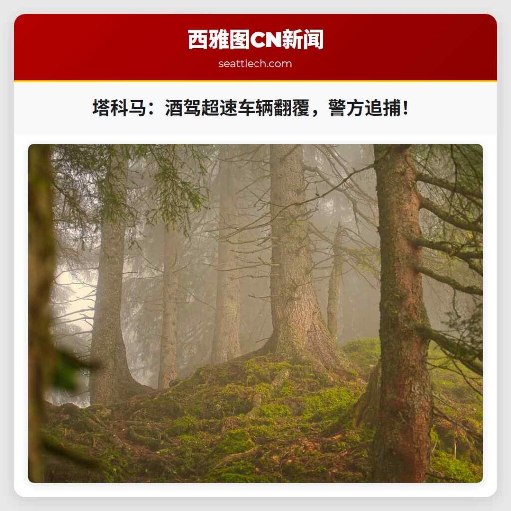 塔科马：酒驾超速车辆翻覆，警方追捕！