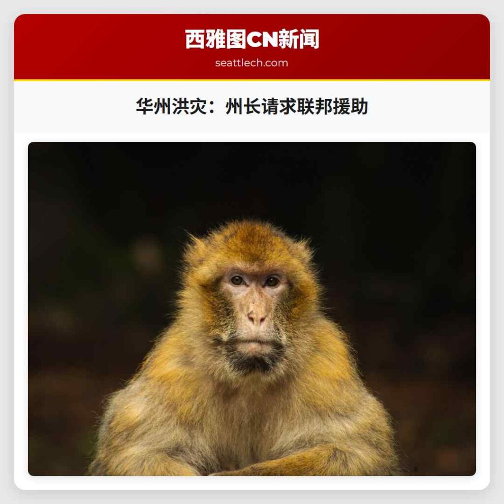 华州洪灾:州长请求联邦援助