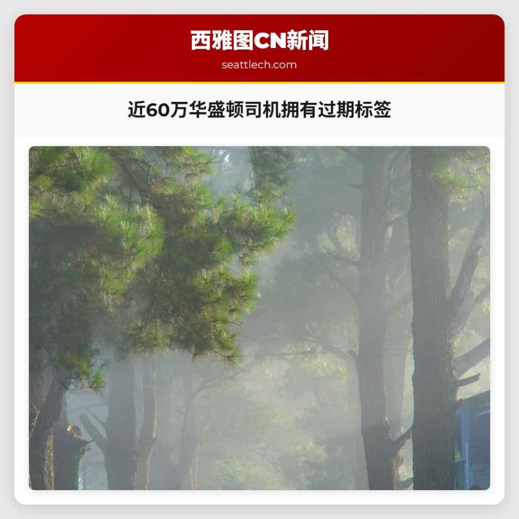 近60万华盛顿司机拥有过期标签