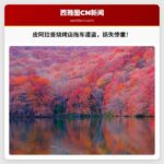 皮阿拉普家庭烧烤企业遭遇烧烤车盗窃，损失数千美元