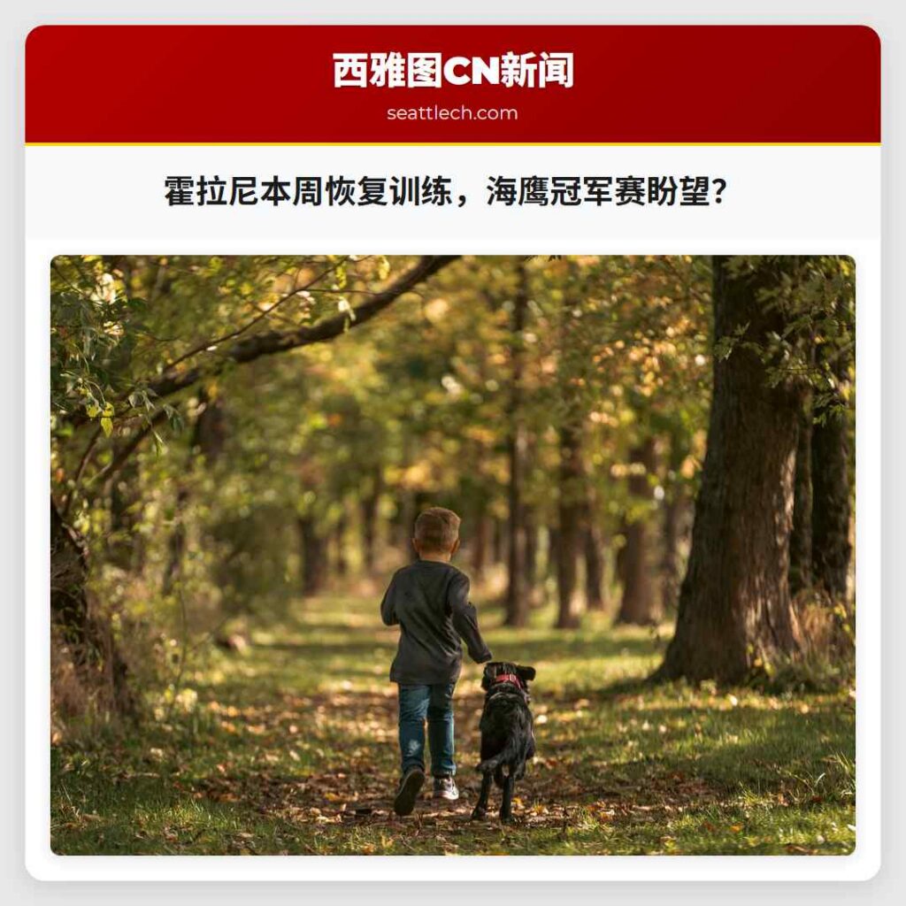 霍拉尼本周恢复训练，海鹰冠军赛盼望？