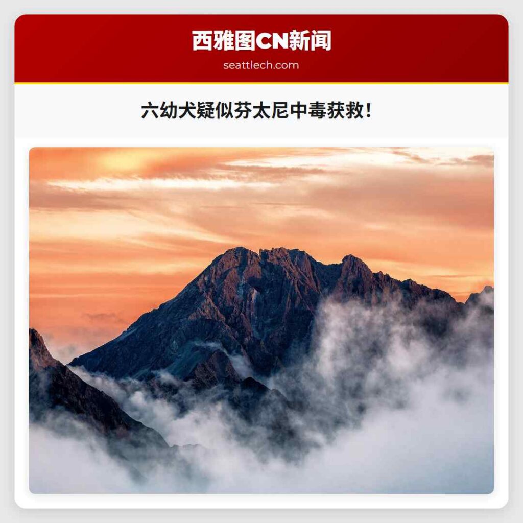 六幼犬疑似芬太尼中毒获救！