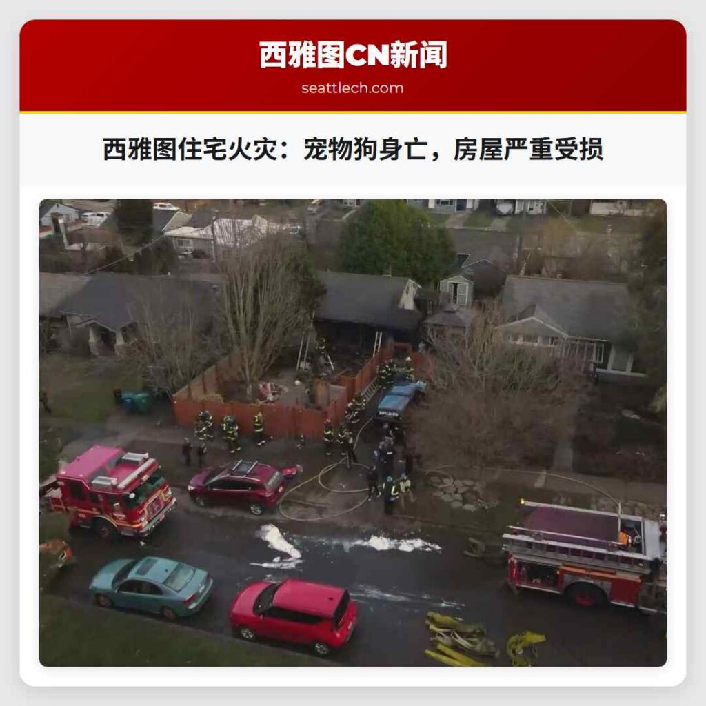 西雅图住宅火灾：宠物狗身亡，房屋严重受损