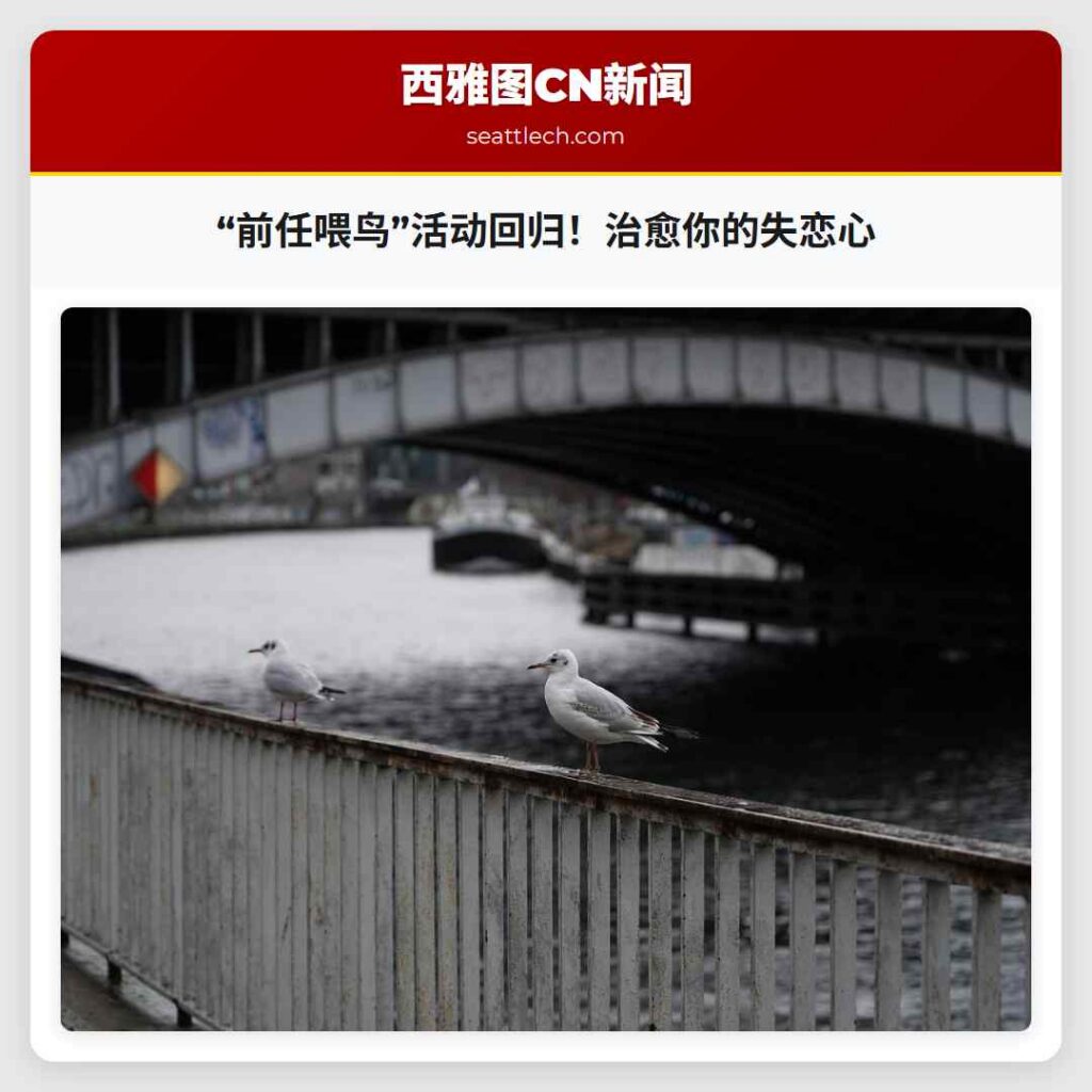 “前任喂鸟”活动回归！治愈你的失恋心