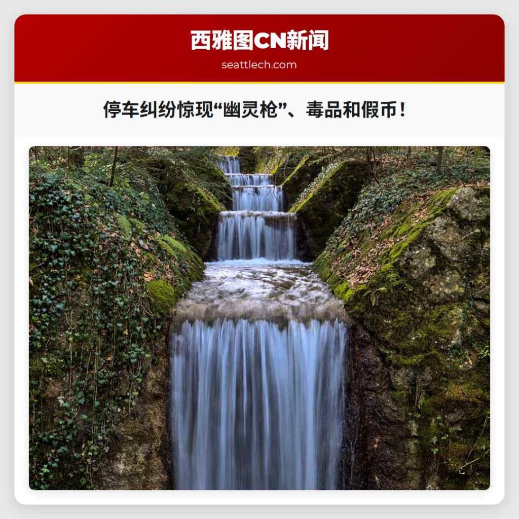 停车纠纷惊现“幽灵枪”、毒品和假币！