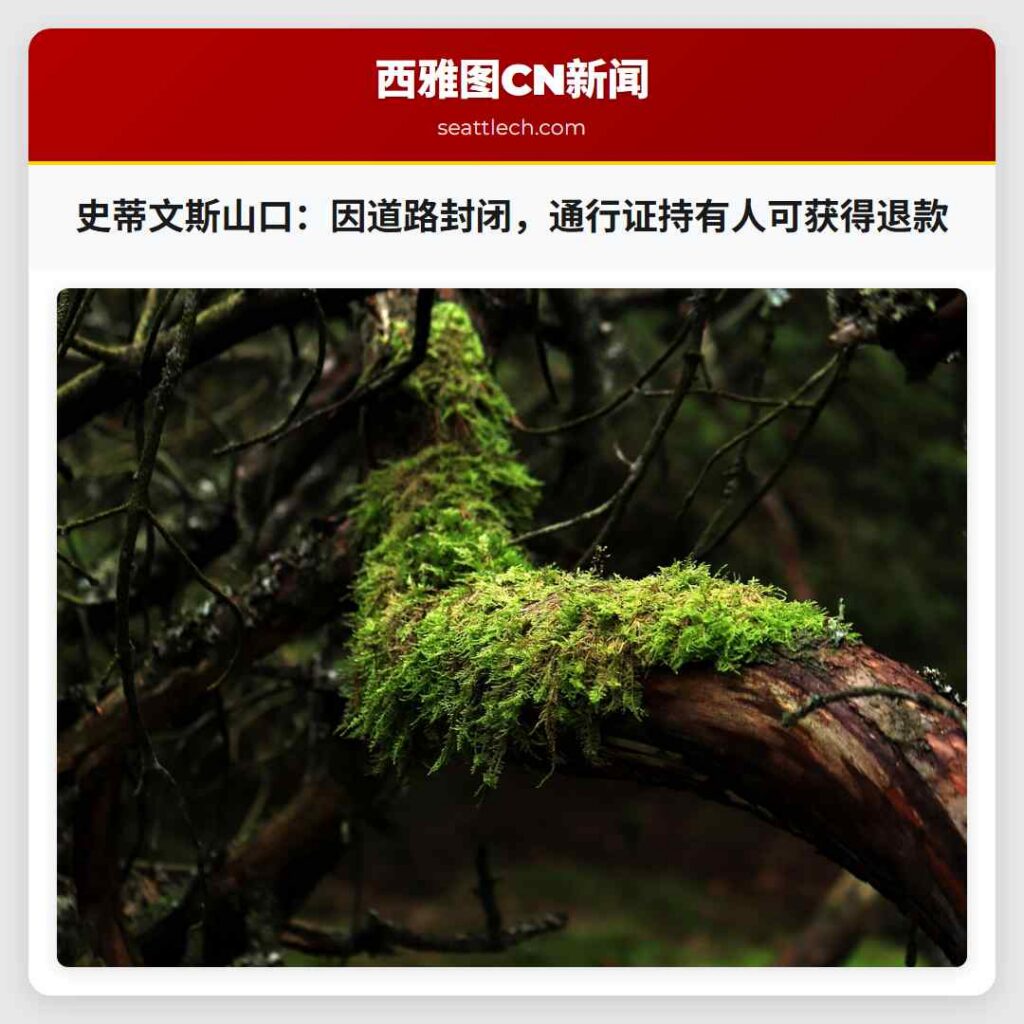 史蒂文斯山口：因道路封闭，通行证持有人可获得退款