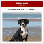 Progresso 发布 2026 年“汤滴”系列糖果