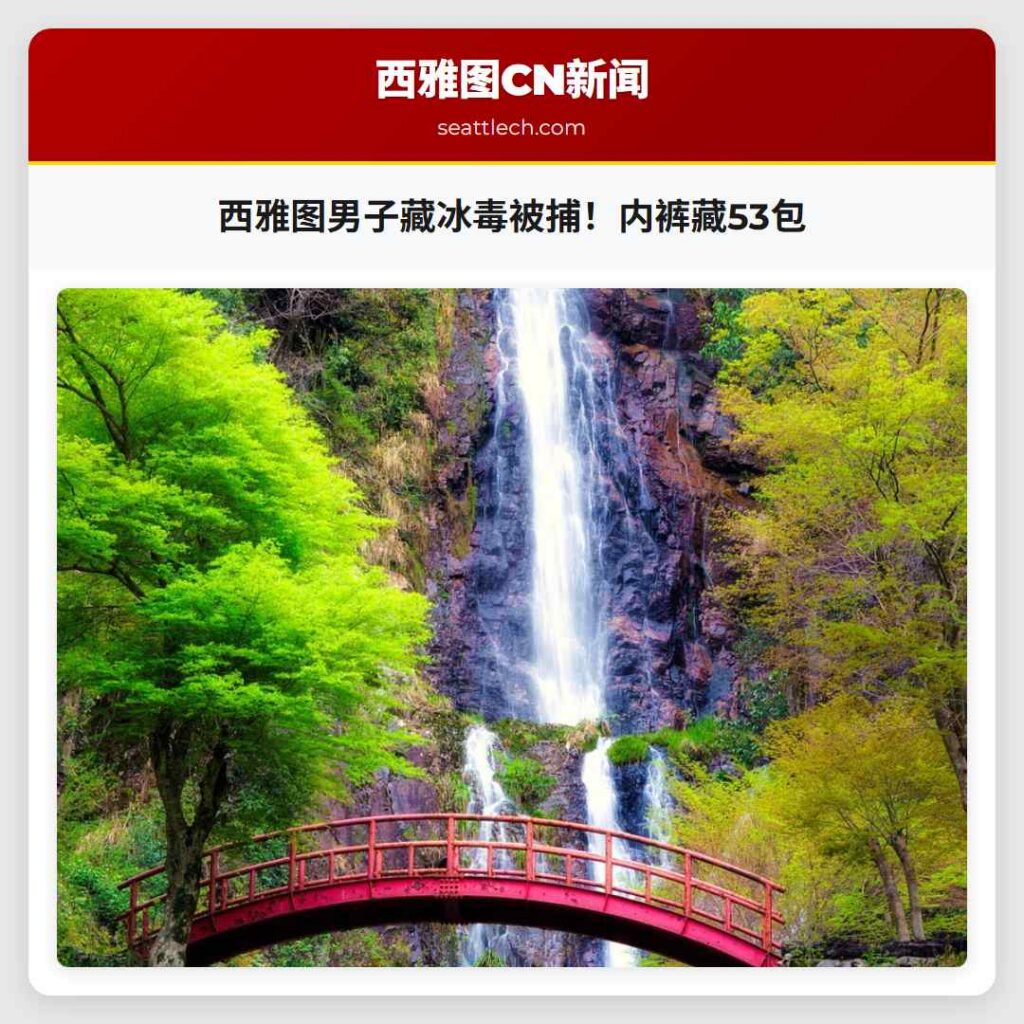 西雅图男子藏冰毒被捕！内裤藏53包