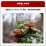 美国宇航员Suni Williams 退休离任，为太空探索留下卓越贡献