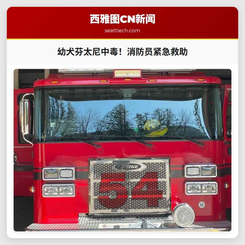 幼犬芬太尼中毒！消防员紧急救助