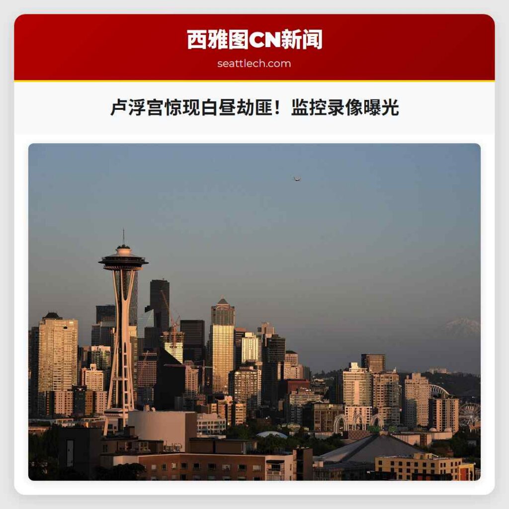 卢浮宫惊现白昼劫匪！监控录像曝光