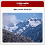 林赛·沃恩在冬奥会前最后一场大回转比赛中受伤