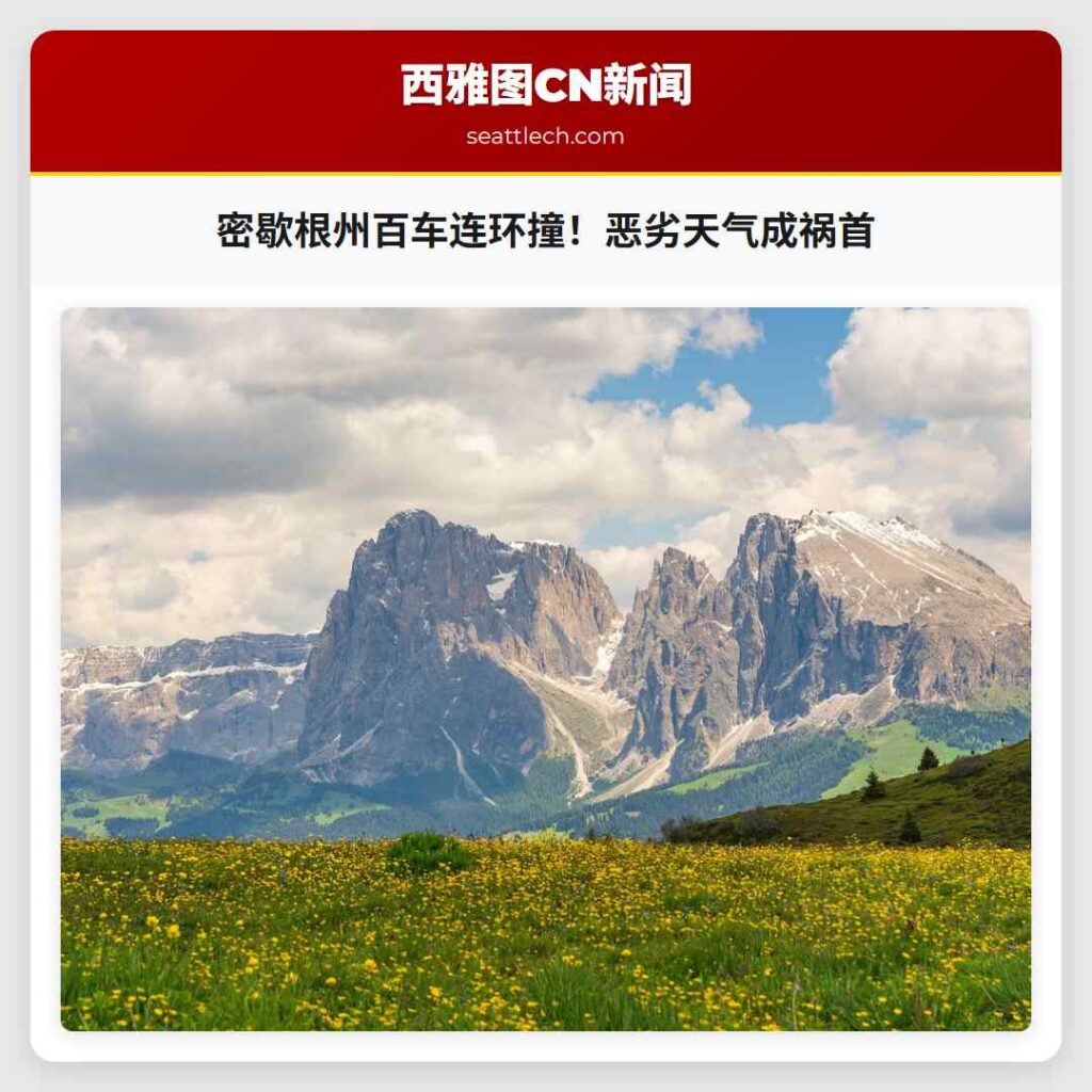 密歇根州百车连环撞！恶劣天气成祸首