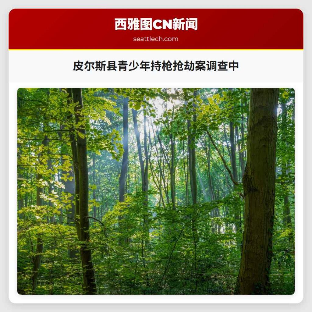 皮尔斯县青少年持枪抢劫案调查中