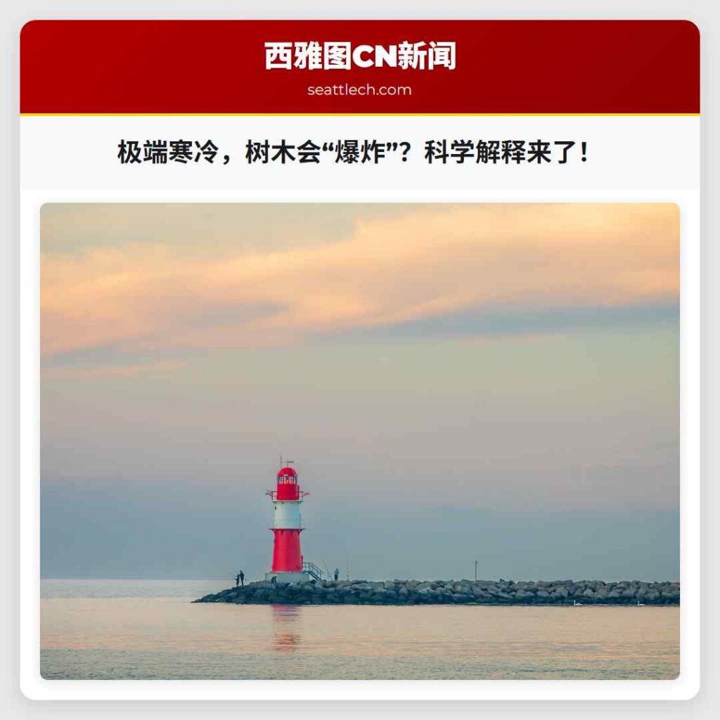 极端寒冷,树木会“爆炸”?科学解释来了!