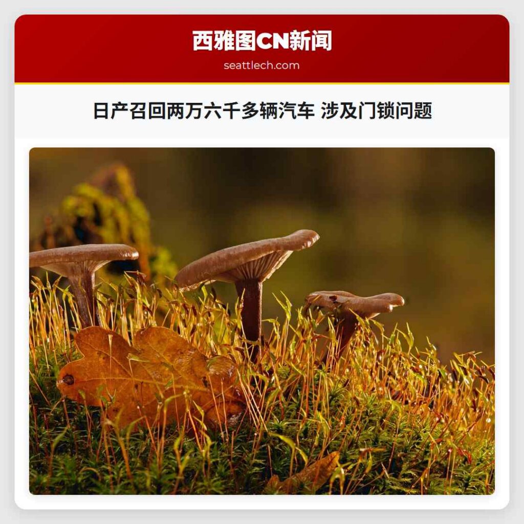 日产召回两万六千多辆汽车 涉及门锁问题