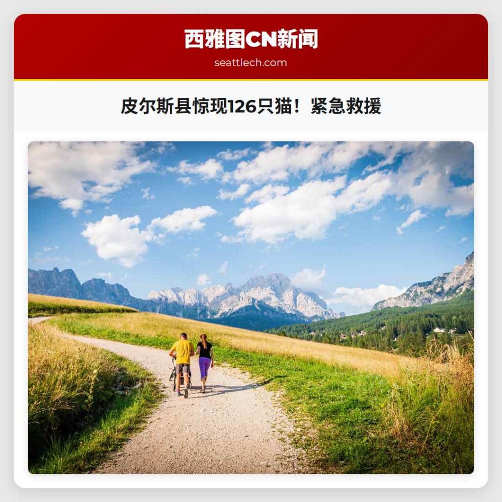 皮尔斯县惊现126只猫！紧急救援