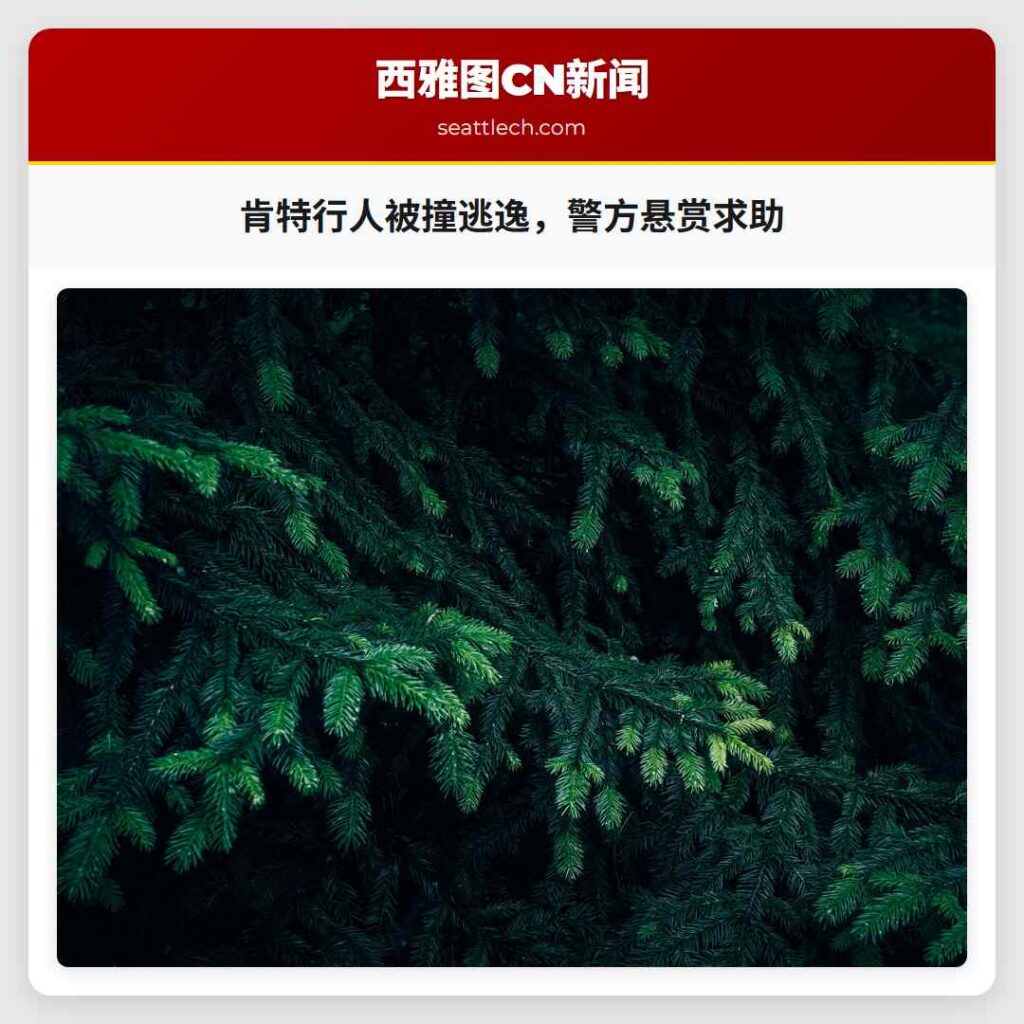 肯特行人被撞逃逸，警方悬赏求助