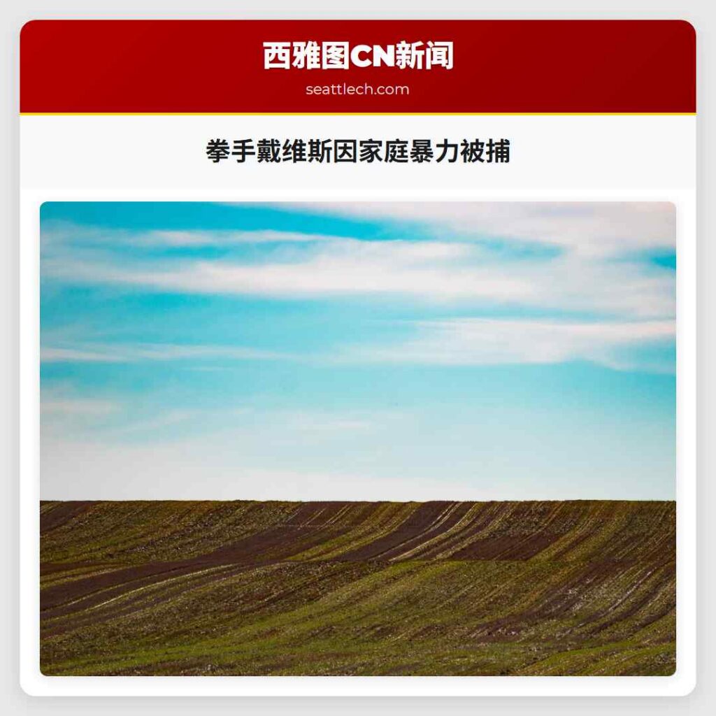 拳手戴维斯因家庭暴力被捕