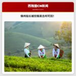 佛罗里达群岛包租船船长被控非法贩卖古柯可因