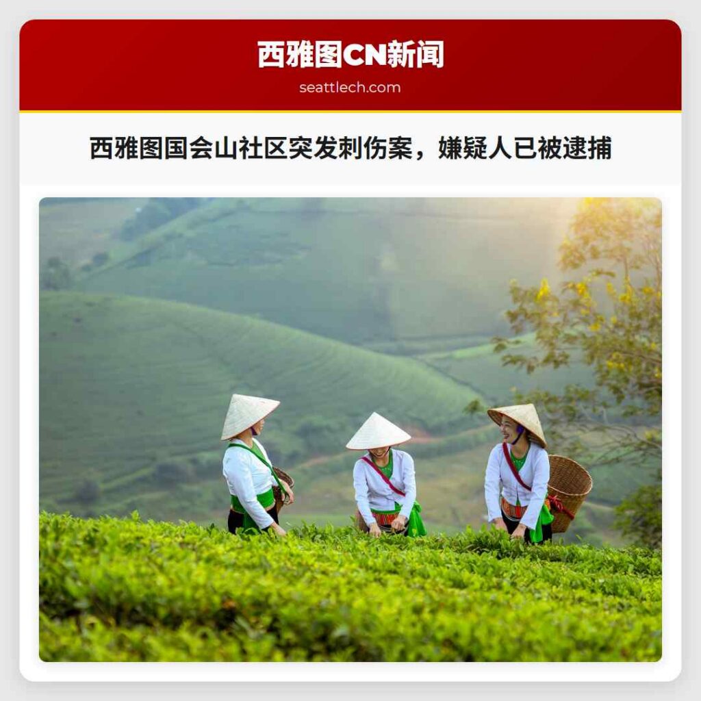 西雅图国会山社区突发刺伤案，嫌疑人已被逮捕