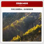 华州州长将推动立法，规范人工智能应对用户自残信息